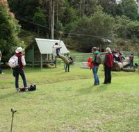 Forest of Tranquillity - Australian Rainforest Sanctuary - Holiday Adelaide