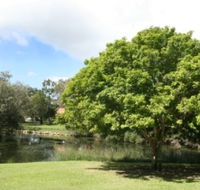 Hervey Bay Botanic Gardens - Holiday Adelaide