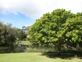 Hervey Bay Botanic Gardens - Holiday Adelaide 0