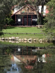 Hervey Bay Botanic Gardens - Holiday Adelaide 1