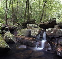 Kangaroo River - Holiday Adelaide