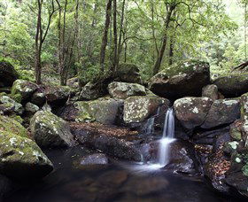 Kangaroo River - Holiday Adelaide 0