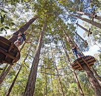 TreeTop Adventure Park Central Coast - Holiday Adelaide