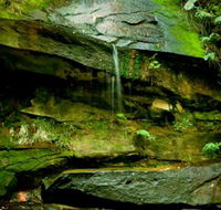 Strickland State Forest - Holiday Adelaide