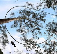 TreeTops Crazy Rider - Holiday Adelaide