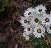 Hastings Forest Way touring route