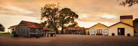 Tyrrells Vineyards - Holiday Adelaide 2