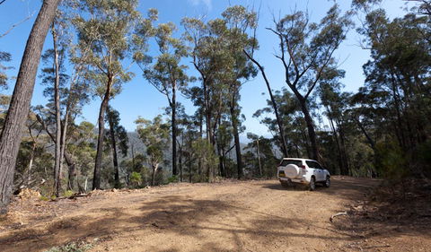 Wadbilliga Road Drive - Holiday Adelaide 0