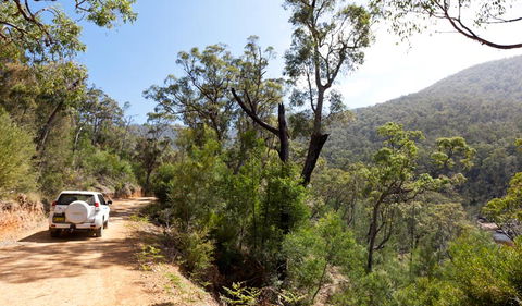 Wadbilliga Road Drive - Holiday Adelaide 1