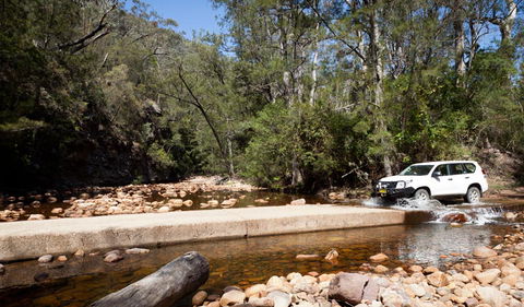 Wadbilliga Road Drive - Holiday Adelaide 2