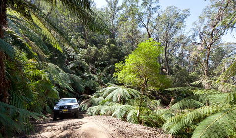 Wadbilliga Road Drive - Holiday Adelaide 3