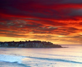 Aquabumps - Holiday Adelaide 8