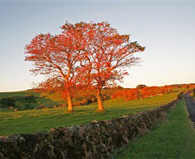 Saddleback Mountain Lookout - Holiday Adelaide 2