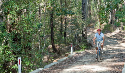 Monument Beach Ride From Bendalong - Holiday Adelaide 2