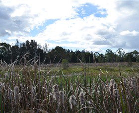 Jabiru Geenbeebeinga Wetlands - Holiday Adelaide 1