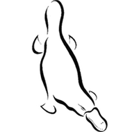 Platypus Gallery - Holiday Adelaide