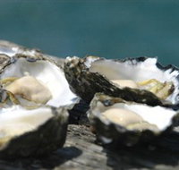Jim Wilds Oyster Service