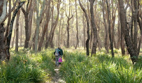 Nerindillah Lagoon Walking Track - Holiday Adelaide 3