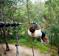 TreeTop Challenge - Holiday Adelaide