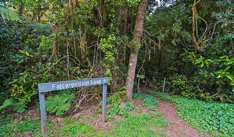 Falcorostrum Loop Walking Track - Holiday Adelaide 0