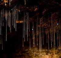 Tamborine Mountain Glow Worm Caves - Holiday Adelaide