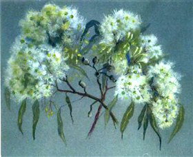 Norma Holt Studio Gallery - Holiday Adelaide 1