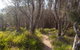 Murramarang Aboriginal Area Walking Track - thumb 1