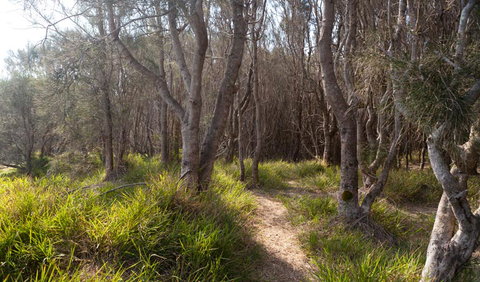 Murramarang Aboriginal Area Walking Track - Holiday Adelaide 1