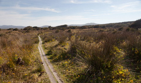 Murramarang Aboriginal Area Walking Track - Holiday Adelaide 2