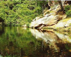 Numinbah Valley Adventure Trails - Holiday Adelaide 1