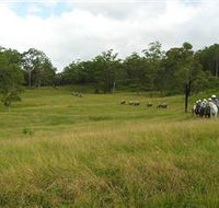 Numinbah Valley Adventure Trails - Holiday Adelaide