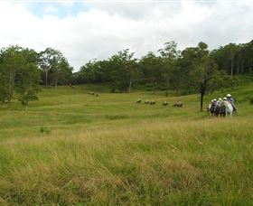 Numinbah Valley Adventure Trails - Holiday Adelaide 0
