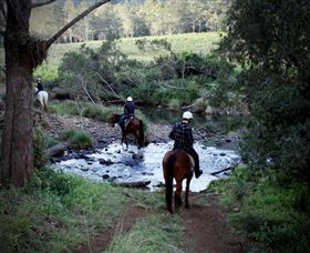 Numinbah Valley Adventure Trails - Holiday Adelaide 3