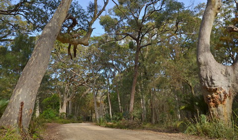 North Head Lookout - Holiday Adelaide 1