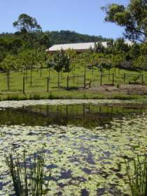 Mount Nathan Winery - Holiday Adelaide 2