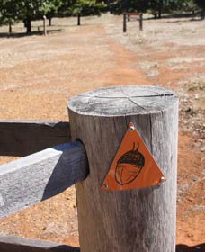 Oak Grove Walk, Balingup - Holiday Adelaide 3