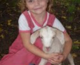 Honeycomb Valley Farm - Holiday Adelaide 7