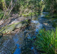 Dawson River walking track - Holiday Adelaide