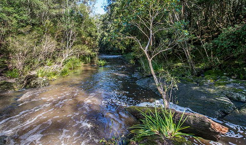 Brimbin Picnic Area - Holiday Adelaide 2