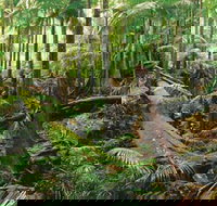 Wollumbin-Mount Warning National Park - Holiday Adelaide