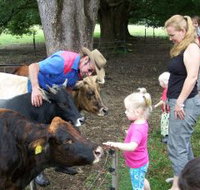 Crystal Creek Miniatures - Holiday Adelaide