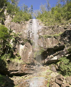 Protesters Falls - Holiday Adelaide 0