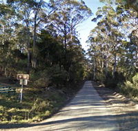 Box Cutting Rainforest Walk - Holiday Adelaide