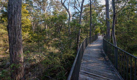 Myanba Gorge Walking Track - Holiday Adelaide 1