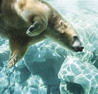 Australia's Sea World - Holiday Adelaide