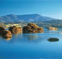 Wagonga Picnic Area - Holiday Adelaide