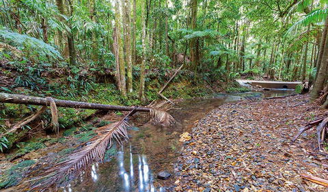 Ulidarra National Park - Holiday Adelaide 0