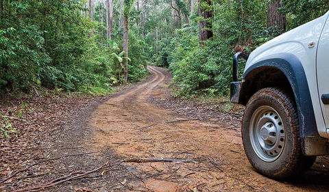 Ulidarra National Park - Holiday Adelaide 2