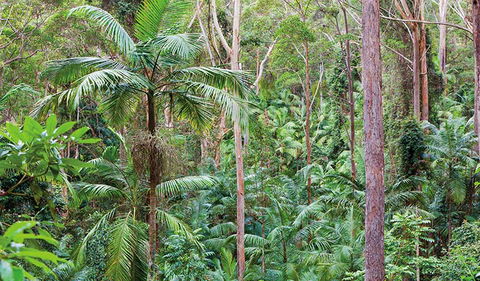Ulidarra National Park - Holiday Adelaide 3