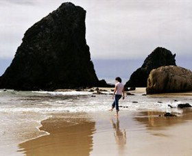 Glasshouse Rocks And Pillow Lava - Holiday Adelaide 1
